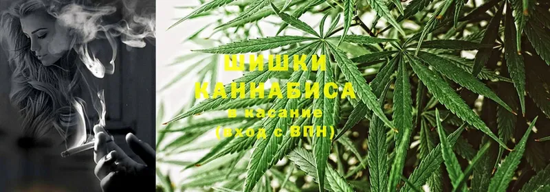 Конопля White Widow  купить наркотики цена  Игарка 